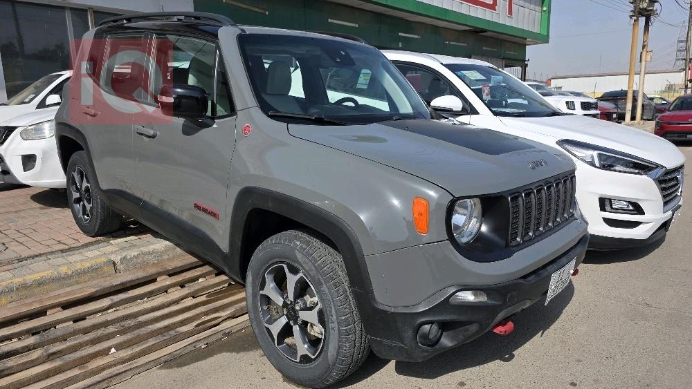 جيب رينيجيد